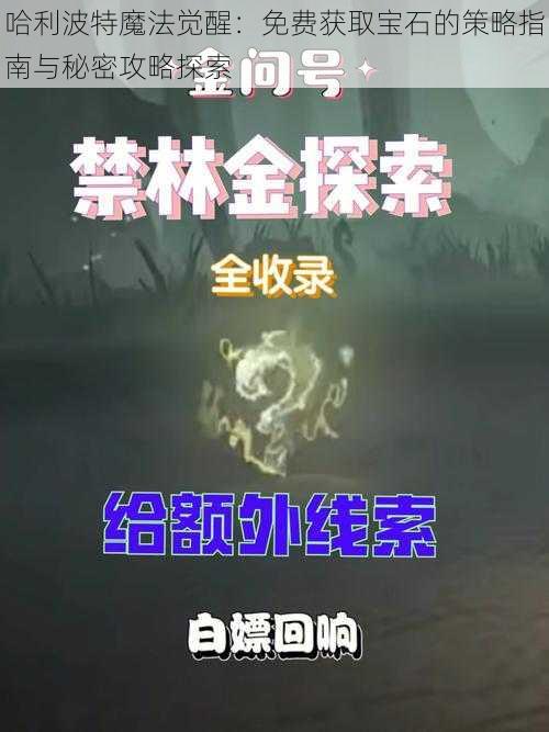 哈利波特魔法觉醒：免费获取宝石的策略指南与秘密攻略探索