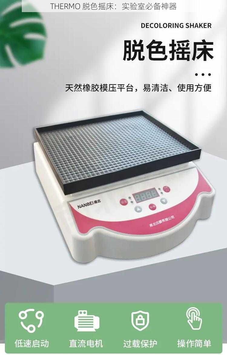 THERMO 脱色摇床：实验室必备神器