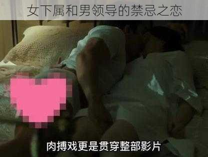 女下属和男领导的禁忌之恋