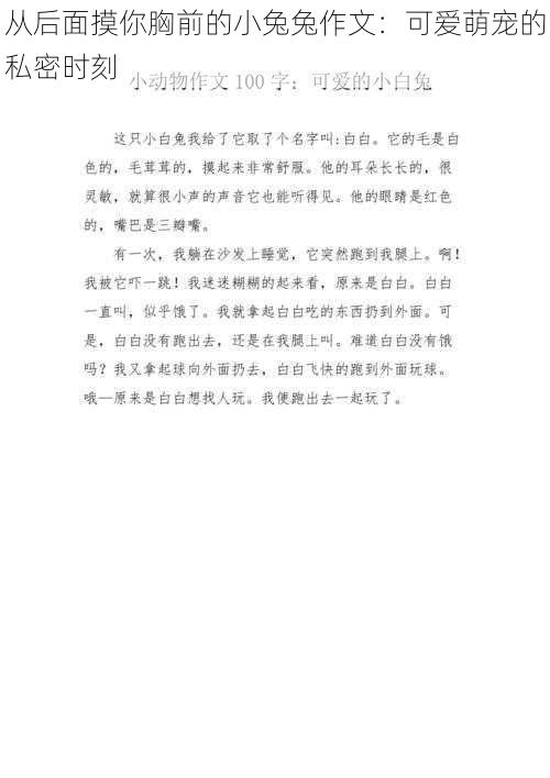 从后面摸你胸前的小兔兔作文：可爱萌宠的私密时刻