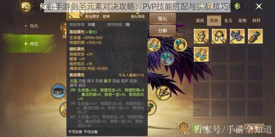 龙之谷手游剑圣元素对决攻略：PVP技能搭配与实战技巧解析