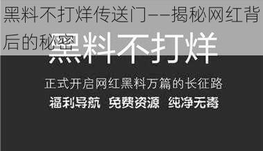 黑料不打烊传送门——揭秘网红背后的秘密