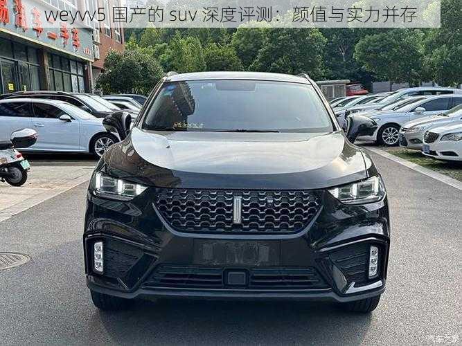 weyvv5 国产的 suv 深度评测：颜值与实力并存