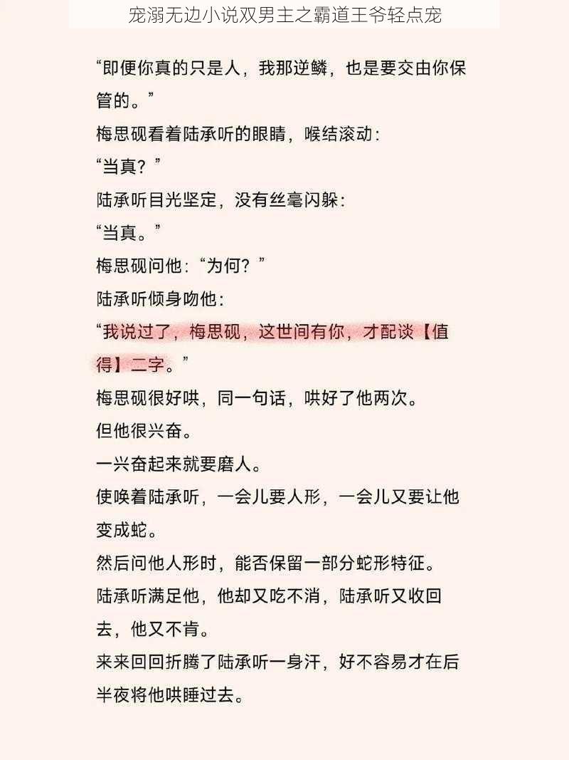 宠溺无边小说双男主之霸道王爷轻点宠