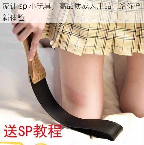 家训 sp 小玩具，高品质成人用品，给你全新体验