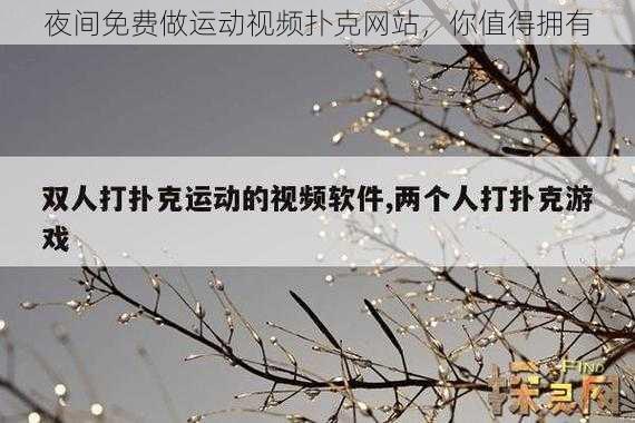 夜间免费做运动视频扑克网站，你值得拥有