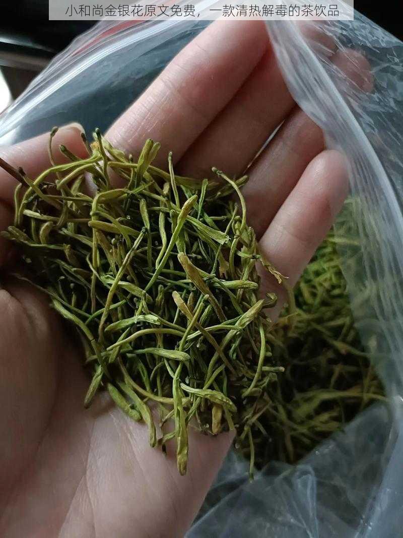 小和尚金银花原文免费，一款清热解毒的茶饮品