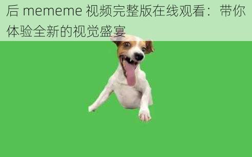 后 mememe 视频完整版在线观看：带你体验全新的视觉盛宴