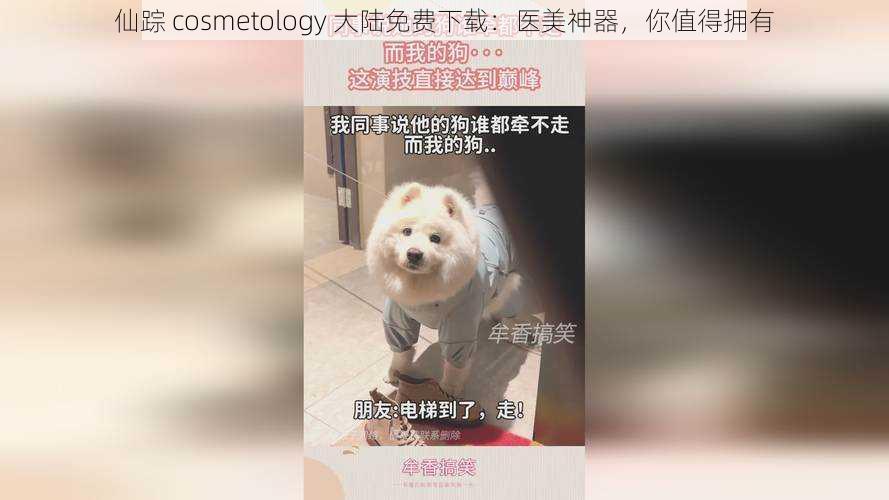 仙踪 cosmetology 大陆免费下载：医美神器，你值得拥有