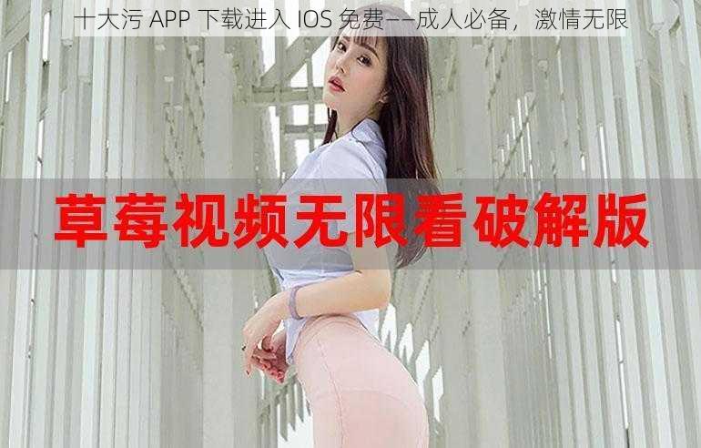 十大污 APP 下载进入 IOS 免费——成人必备，激情无限