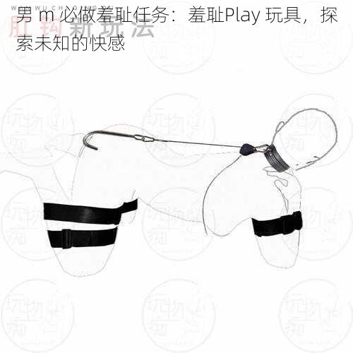 男 m 必做羞耻任务：羞耻Play 玩具，探索未知的快感