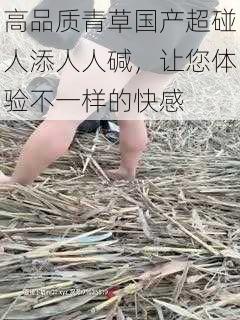 高品质青草国产超碰人添人人碱，让您体验不一样的快感