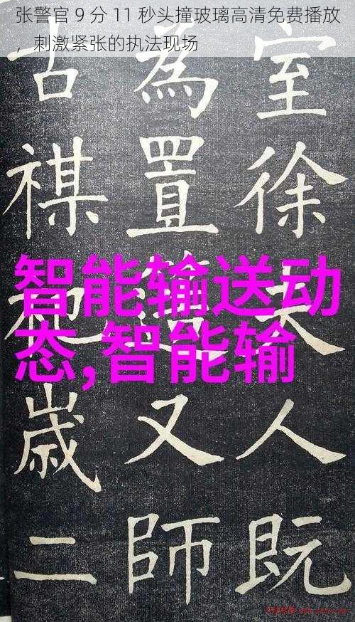 张警官 9 分 11 秒头撞玻璃高清免费播放，刺激紧张的执法现场