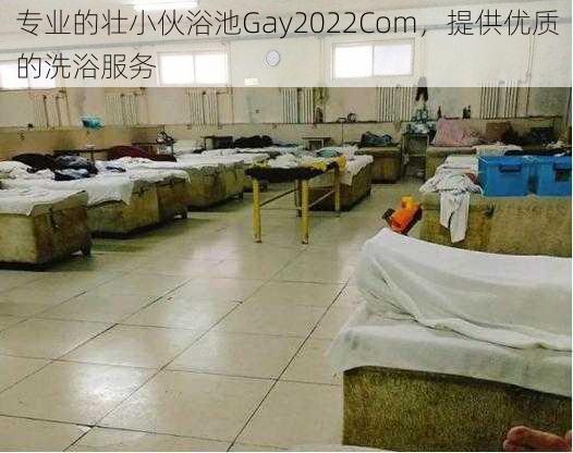 专业的壮小伙浴池Gay2022Com，提供优质的洗浴服务