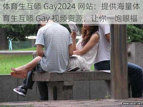 体育生互㖭 Gay2024 网站：提供海量体育生互㖭 Gay 视频资源，让你一饱眼福