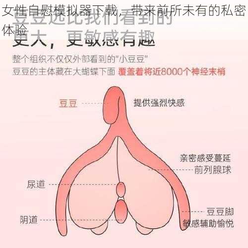 女性自慰模拟器下载，带来前所未有的私密体验