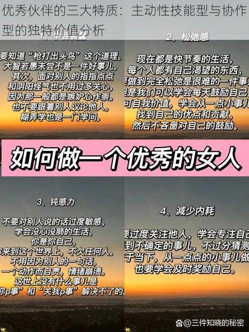 优秀伙伴的三大特质：主动性技能型与协作型的独特价值分析