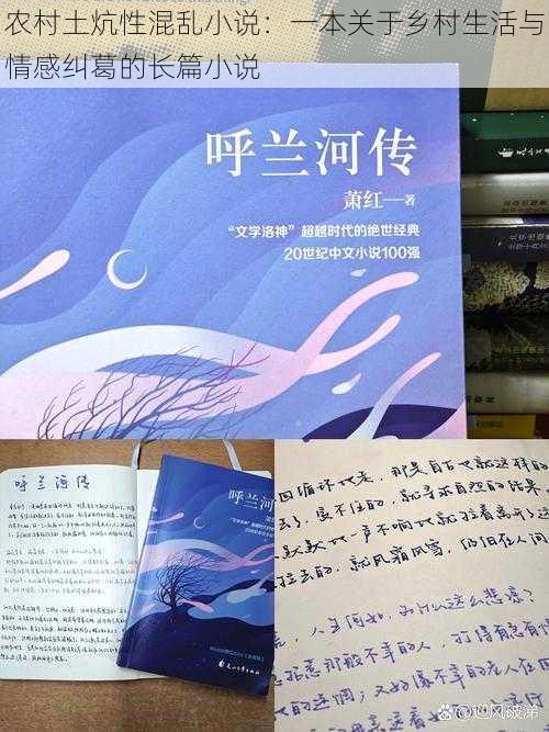 农村土炕性混乱小说：一本关于乡村生活与情感纠葛的长篇小说