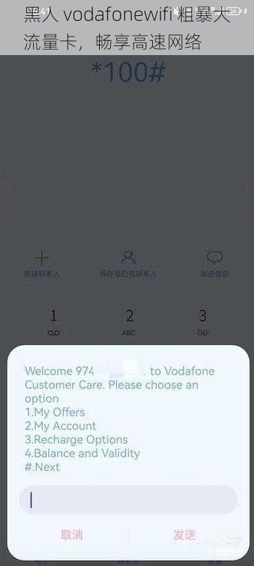 黑人 vodafonewifi 粗暴大流量卡，畅享高速网络