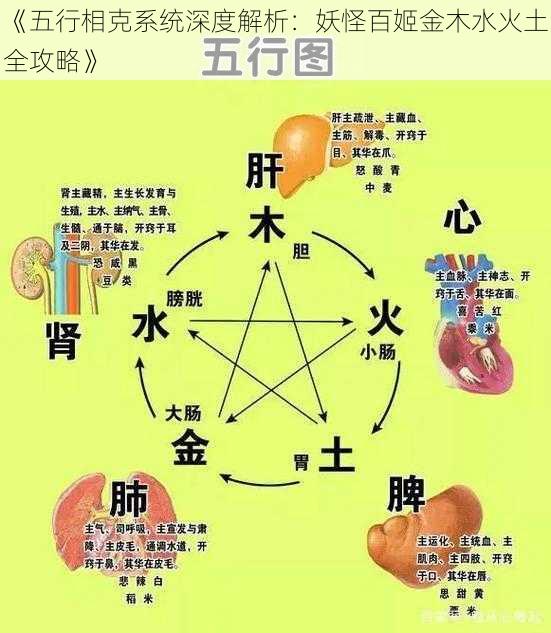 《五行相克系统深度解析：妖怪百姬金木水火土全攻略》