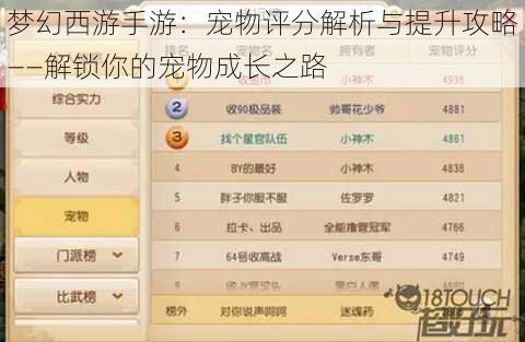 梦幻西游手游：宠物评分解析与提升攻略——解锁你的宠物成长之路