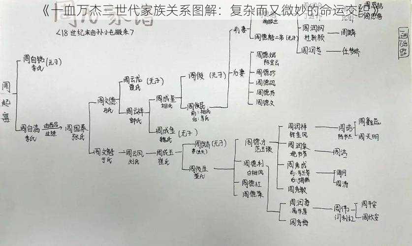 《一血万杰三世代家族关系图解：复杂而又微妙的命运交织》