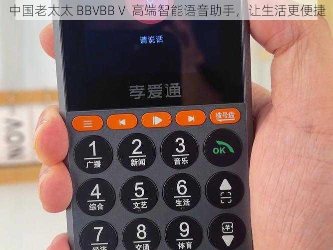 中国老太太 BBVBBⅤ 高端智能语音助手，让生活更便捷