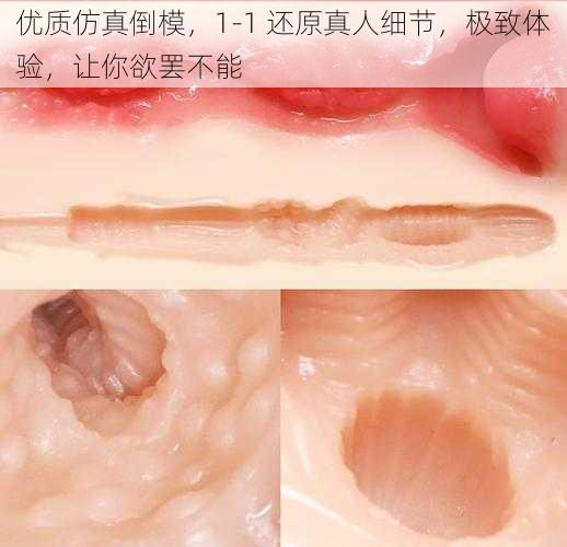 优质仿真倒模，1-1 还原真人细节，极致体验，让你欲罢不能