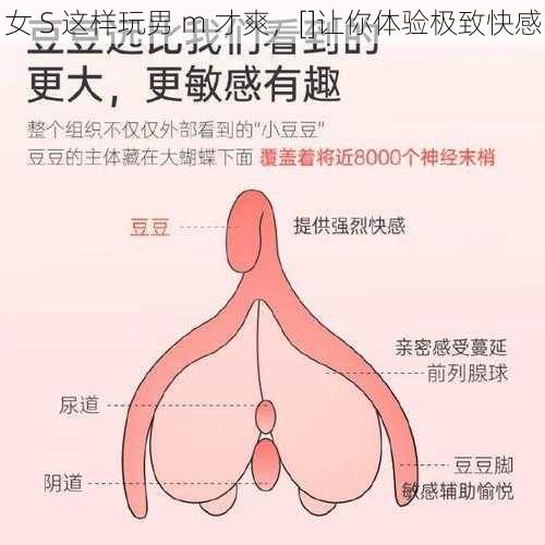 女 S 这样玩男 m 才爽，[]让你体验极致快感