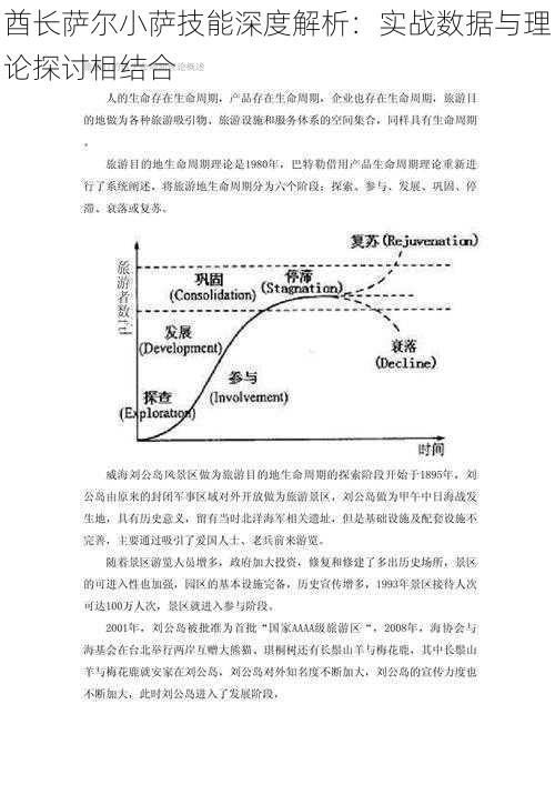 酋长萨尔小萨技能深度解析：实战数据与理论探讨相结合