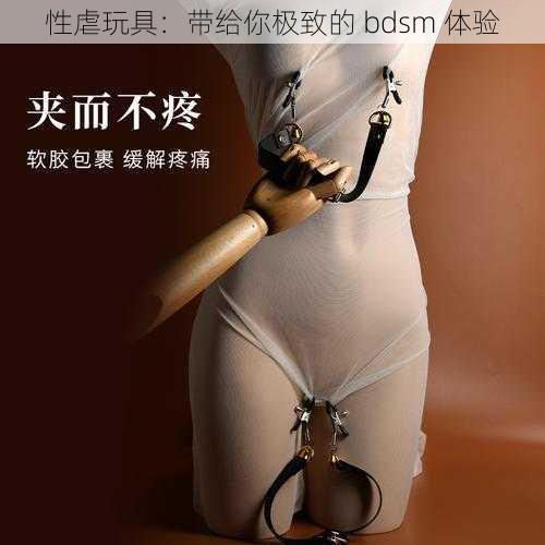 性虐玩具：带给你极致的 bdsm 体验