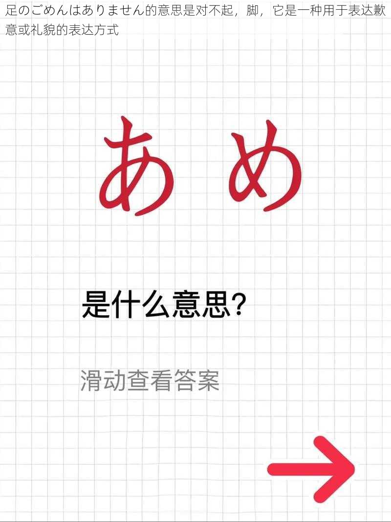 足のごめんはありません的意思是对不起，脚，它是一种用于表达歉意或礼貌的表达方式