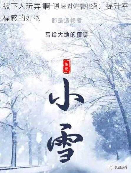 被下人玩弄 啊 嗯～小雪介绍：提升幸福感的好物