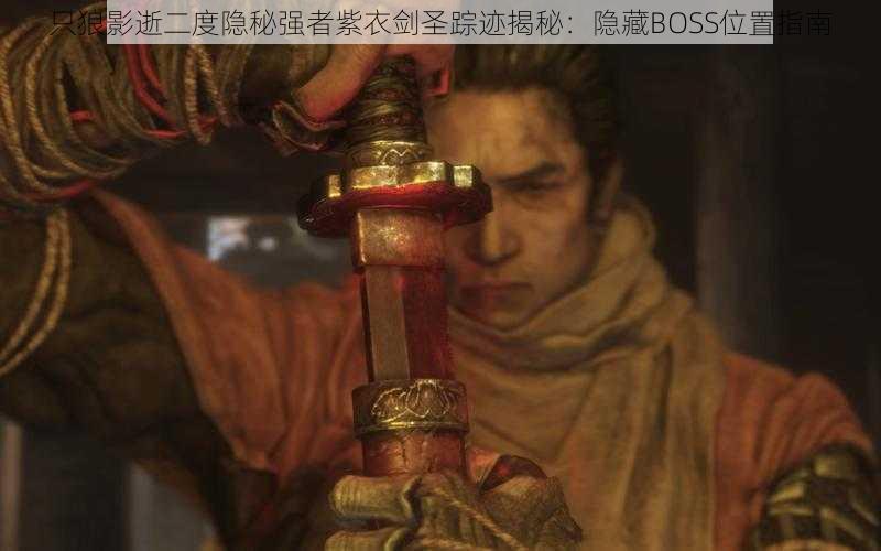 只狼影逝二度隐秘强者紫衣剑圣踪迹揭秘：隐藏BOSS位置指南