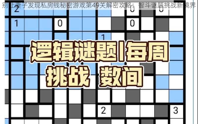 别让妻子发现私房钱秘密游戏第49关解密攻略：智斗谜题挑战新境界