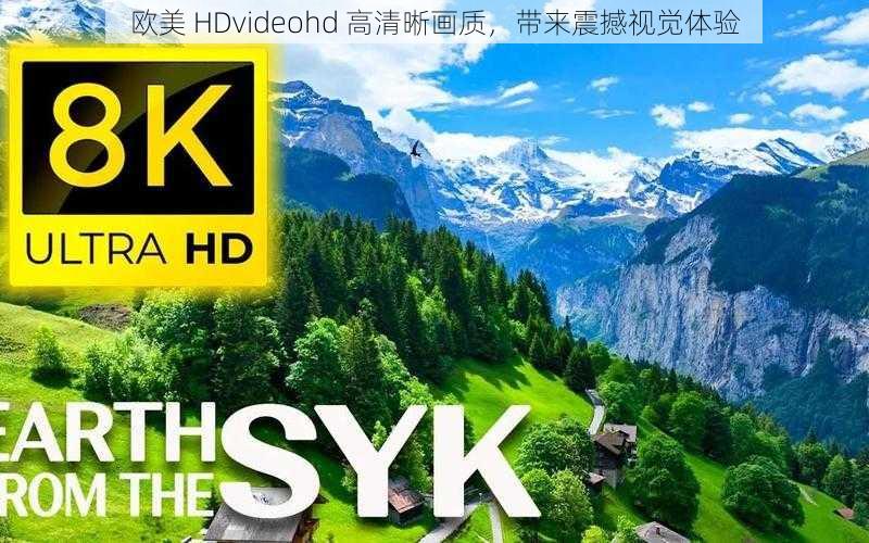 欧美 HDvideohd 高清晰画质，带来震撼视觉体验