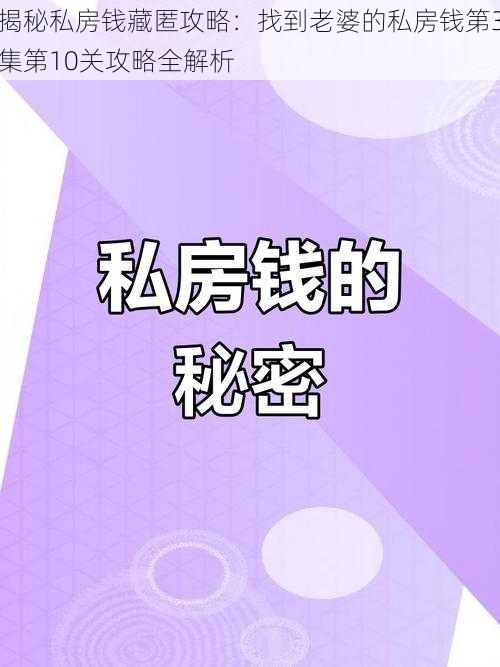 揭秘私房钱藏匿攻略：找到老婆的私房钱第3集第10关攻略全解析