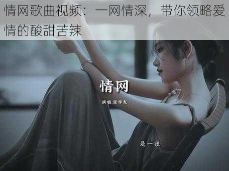 情网歌曲视频：一网情深，带你领略爱情的酸甜苦辣