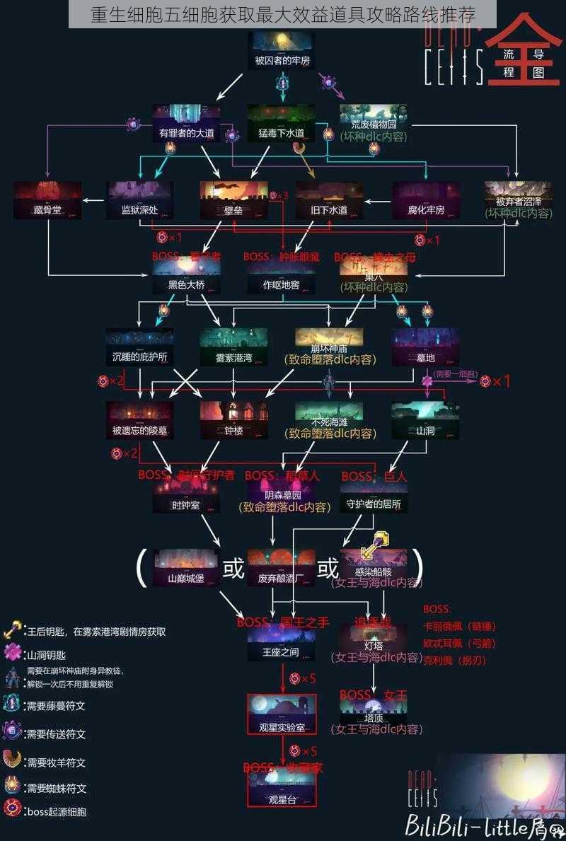 重生细胞五细胞获取最大效益道具攻略路线推荐
