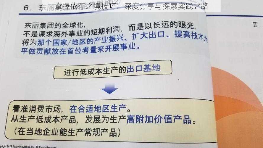 掌握依存之境技巧：深度分享与探索实践之路