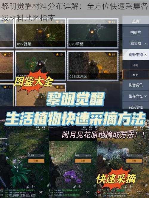 黎明觉醒材料分布详解：全方位快速采集各级材料地图指南