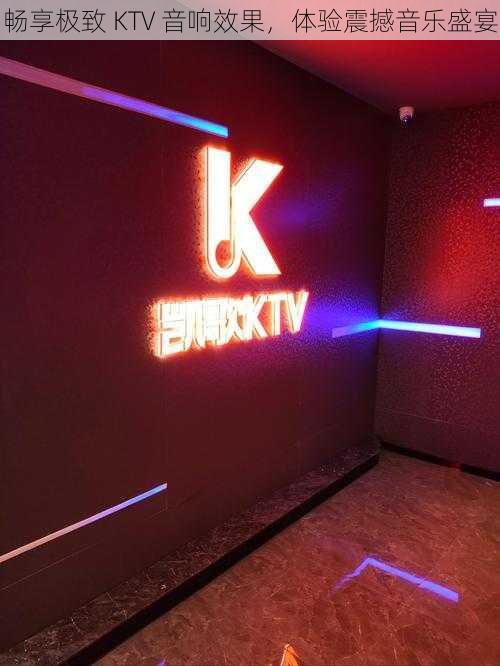 畅享极致 KTV 音响效果，体验震撼音乐盛宴