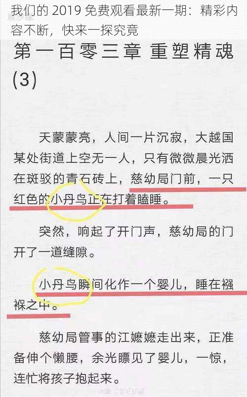 我们的 2019 免费观看最新一期：精彩内容不断，快来一探究竟