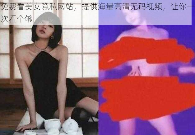 免费看美女隐私网站，提供海量高清无码视频，让你一次看个够