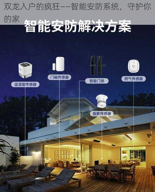 双龙入户的疯狂——智能安防系统，守护你的家