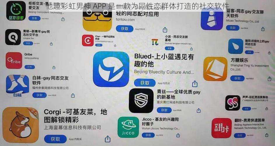 他趣彩虹男神 APP 是一款为同性恋群体打造的社交软件