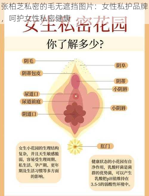 张柏芝私密的毛无遮挡图片：女性私护品牌，呵护女性私密健康