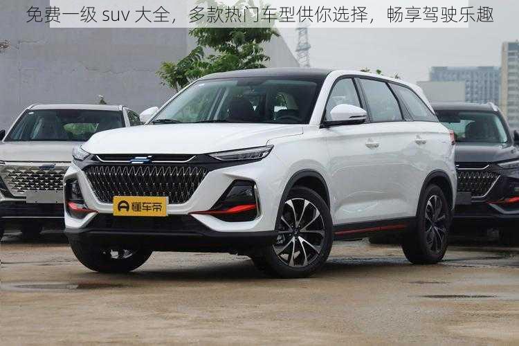 免费一级 suv 大全，多款热门车型供你选择，畅享驾驶乐趣