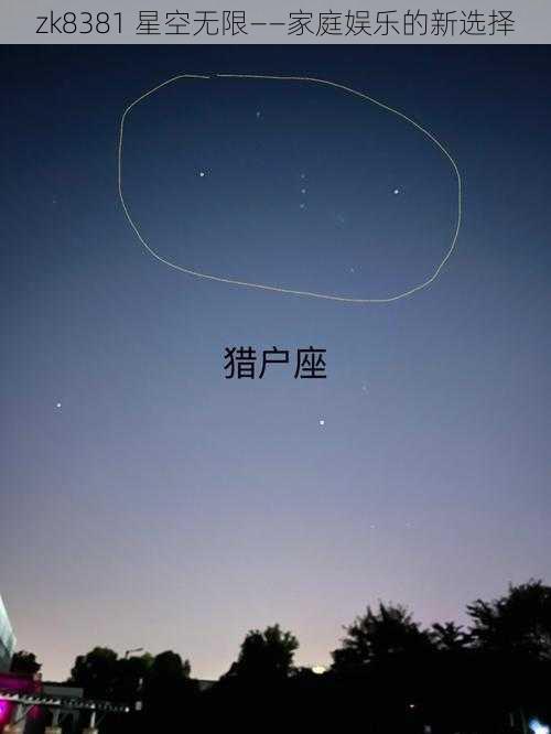 zk8381 星空无限——家庭娱乐的新选择