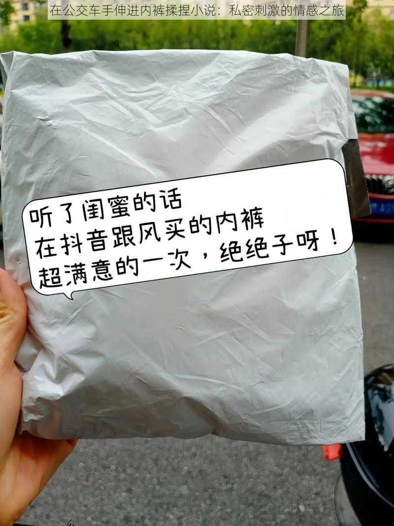 在公交车手伸进内裤揉捏小说：私密刺激的情感之旅